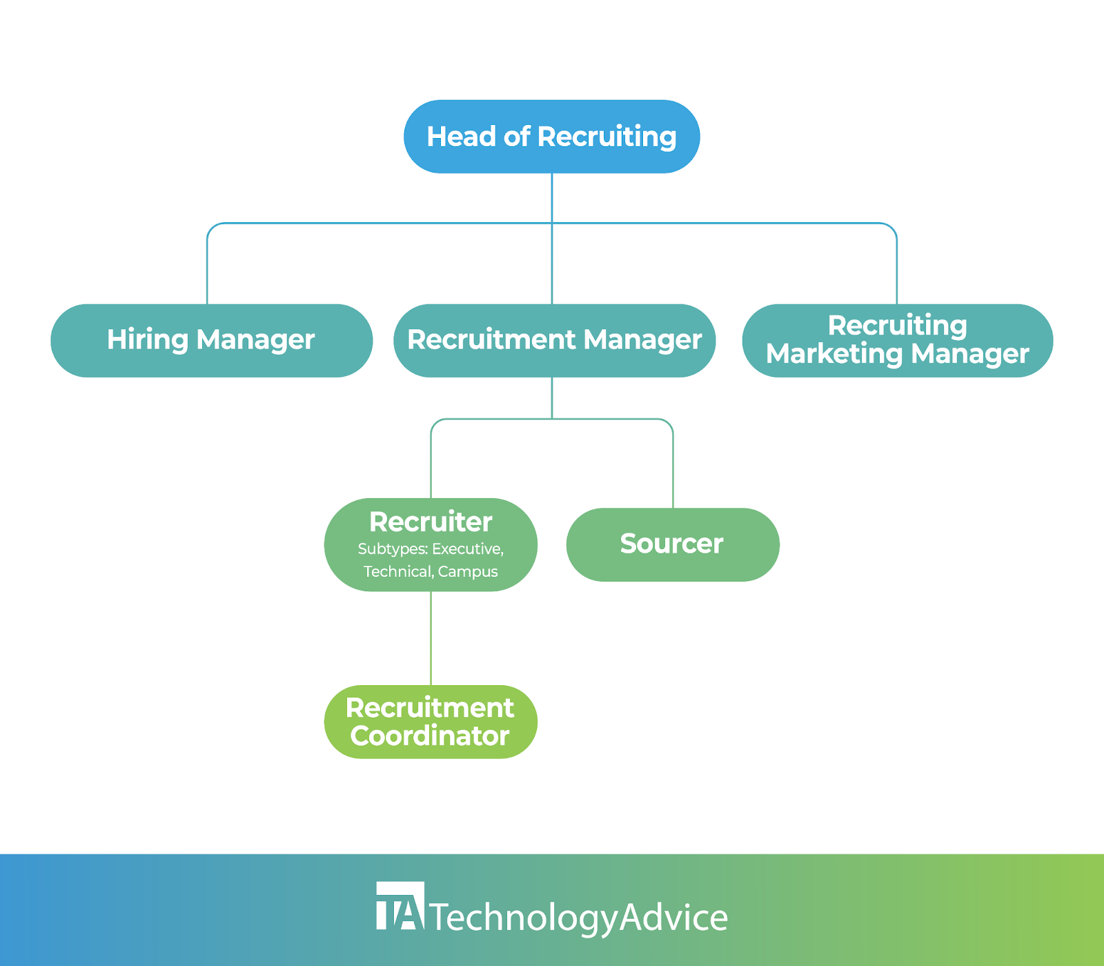 Hierarchy of recruitment team job roles.